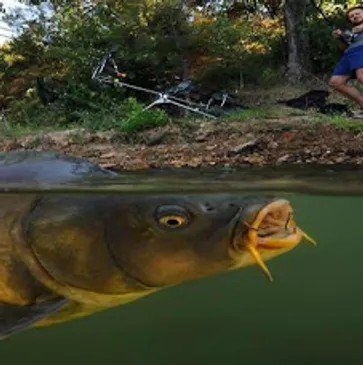 Black Duck Pits fishing lake