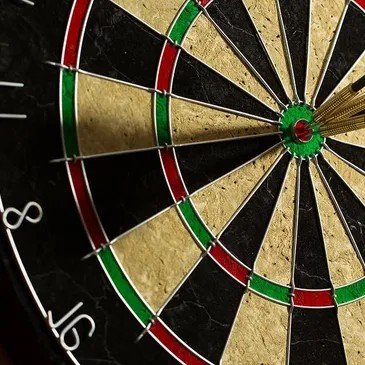 GTRBL Darts team